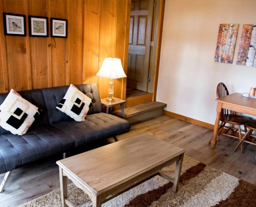 Cottage living room with wood wall