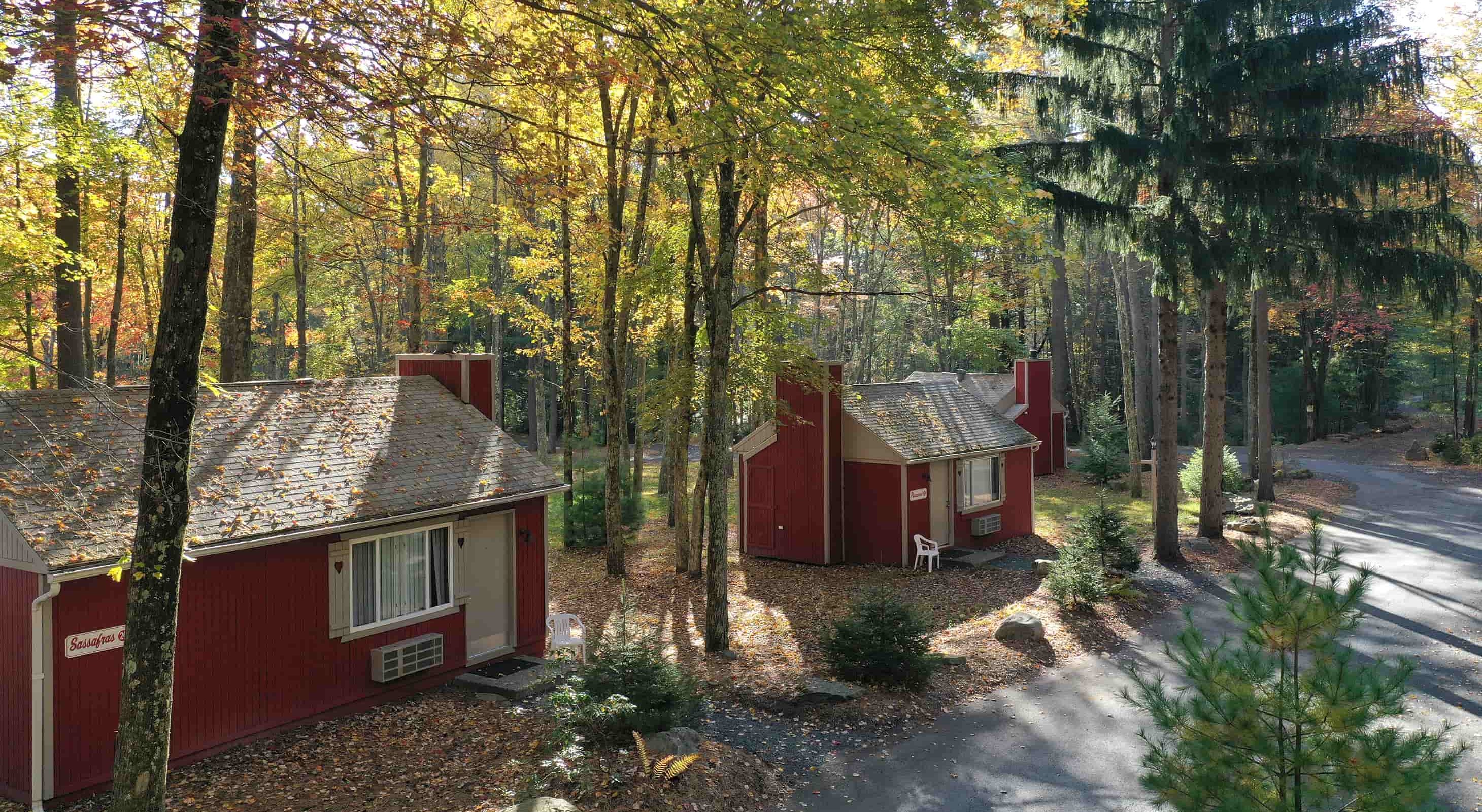 Cottages in the woods offering lodging in Mount Pocono, PA